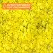 Грунд Egg yellow (яйчено жълто) 3-4мм 1кг - 2