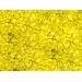 Грунд Egg yellow (яйчено жълто) 3-4мм 1кг