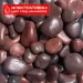 Естествен грунд  "Red Pebble" (червен камък) 5-8см 1кг  - 2