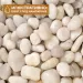 Естествен грунд за дъно "White Pebble" (бял камък) 5-8см 1кг - 2