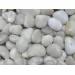 Естествен грунд за дъно "White Pebble" (бял камък) 5-8см 1кг