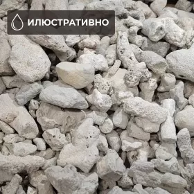 Коралови парченца 3-8см 1кг