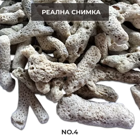 Коралови парченца 3-8см 1кг - 4