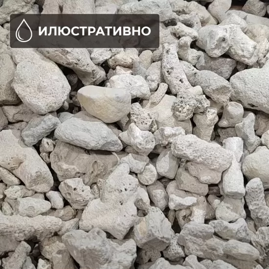 Коралови парченца 3-8см 1кг - 2