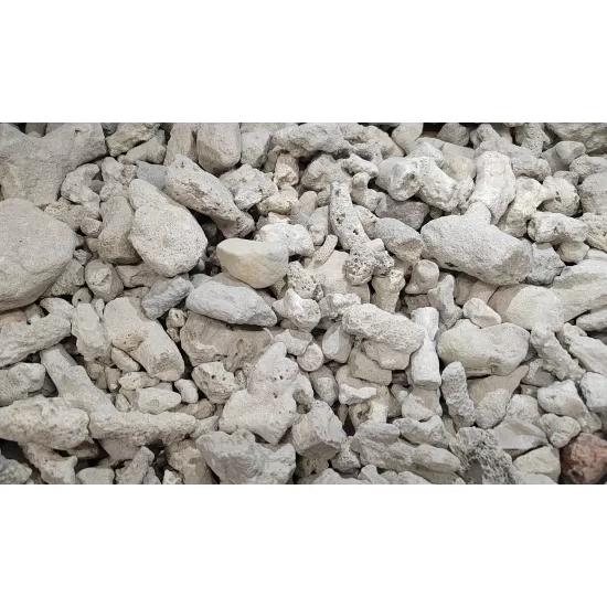 Коралови парченца 3-8см 1кг - 1