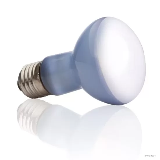 Exo Terra Day Glo Basking Spot Lamp - 2