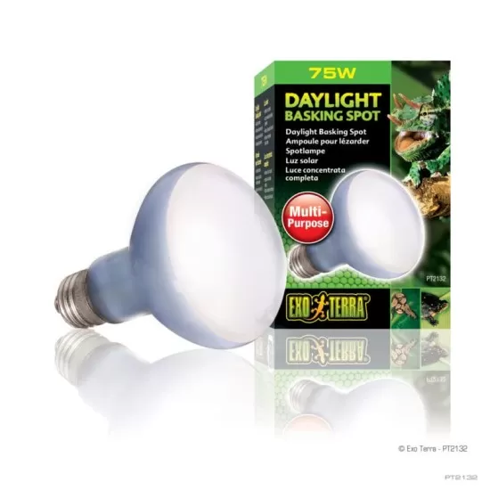 Exo Terra Day Glo Basking Spot Lamp - 4
