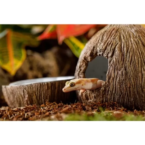 Exo Terra декорация кокос с купичка за вода - 2