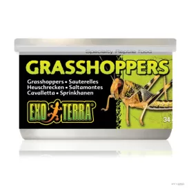 Консервирана храна Exo Terra Grasshoppers