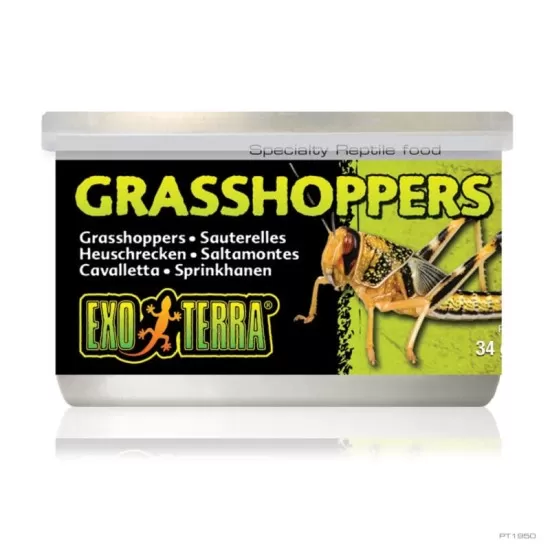 Консервирана храна Exo Terra Grasshoppers - 1