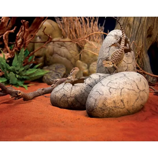 Динозавърско яйце Exo Terra Dinosaur Eggs Fossil Hide Out  - 2