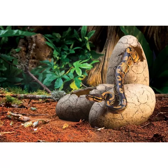 Динозавърско яйце Exo Terra Dinosaur Eggs Fossil Hide Out  - 3