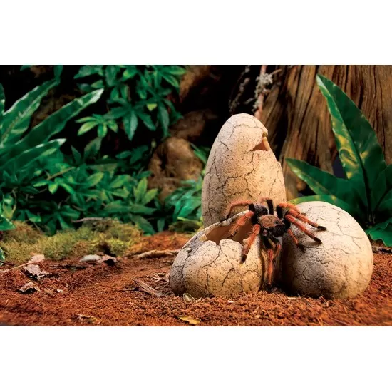Динозавърско яйце Exo Terra Dinosaur Eggs Fossil Hide Out  - 4