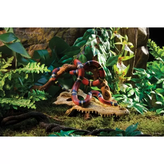 Exo Terra Skull decoration - декорация крокодил - 3