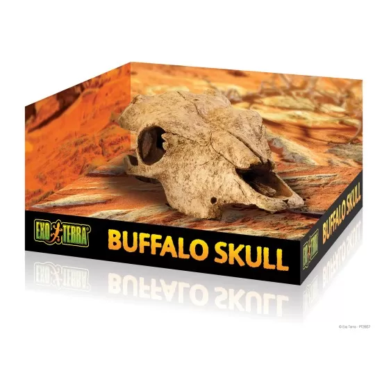 Exo Terra декорация за терариум Buffalo Skull - 1