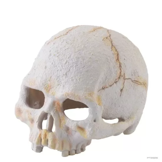 Exo Terra декорация за терариум Primate Skull - 1