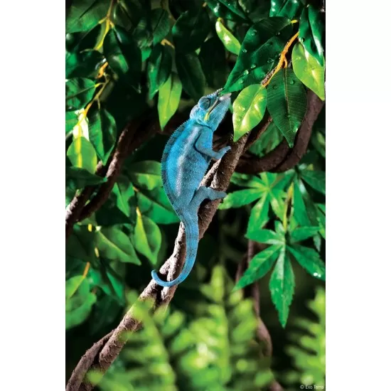 Exo Terra Jungle Vines - 1