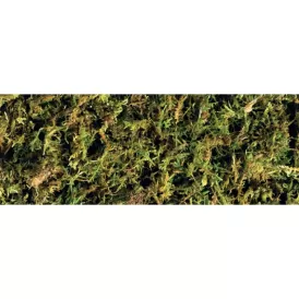 Exo Terra Forest Plume Moss 500g