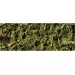 Exo Terra Forest Plume Moss 500g - 2