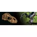 Декорация за терариум T-Rex Skull - 3