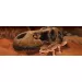 Декорация за терариум T-Rex Skull - 4