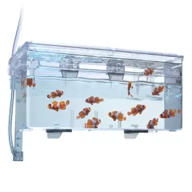 Родилка Fluval Hang-on breeding box L