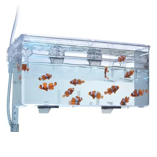 Родилка Fluval Hang-on breeding box L - 2