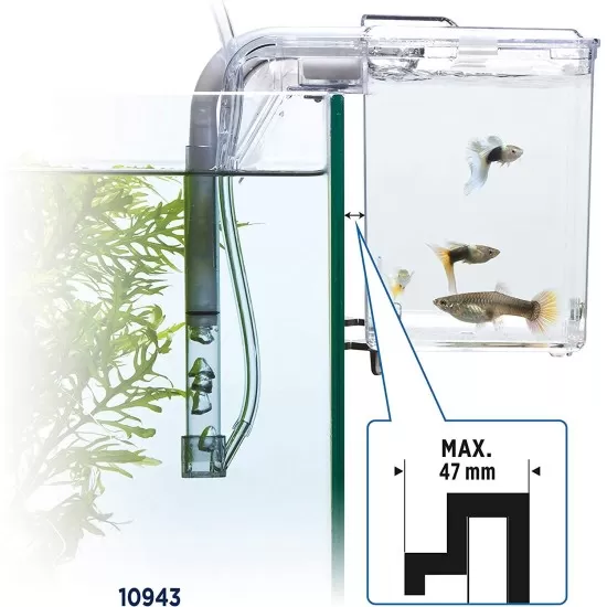Родилка Fluval Hang-on breeding box L - 4