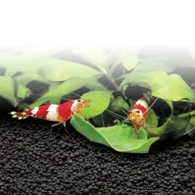 Субстрат Fluval PLANT AND SHRIMP STRATUM 1-­4 мм