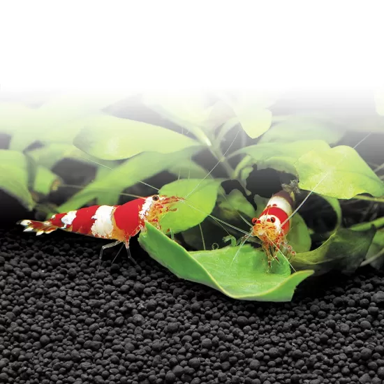 Субстрат Fluval Stratum 1-­4 мм - 3