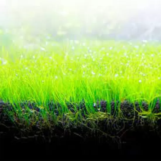 Субстрат Fluval Bio-Stratum 1мм. - 4