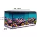 Аквариум Fluval FLEX Marine 123 - черен - 4