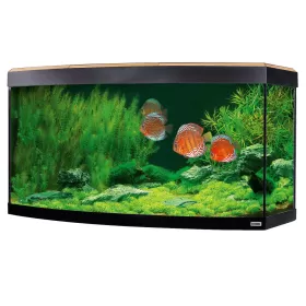 Аквариум Fluval Vicenza LED 180