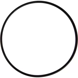 Уплътнителен пръстен Fluval