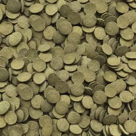 Fluval Bug Bites Algae Wafers