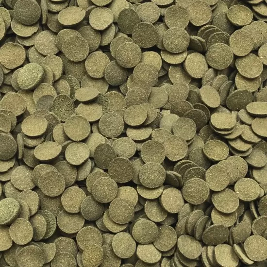 Fluval Bug Bites Algae Wafers - 2