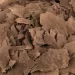 Fluval Bug Bites Betta Flakes - 18гр - 2