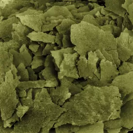 Fluval Bug Bites Spirulina Flakes