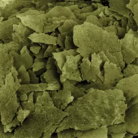 Fluval Bug Bites Spirulina Flakes