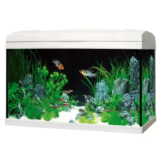 Аквариум Marina Complete LED 54 - бял - 1
