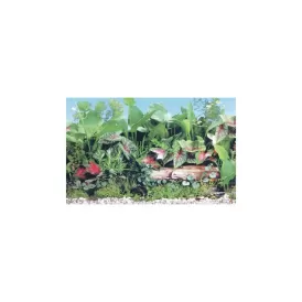 Фон за аквариум Grassy - еднолицев