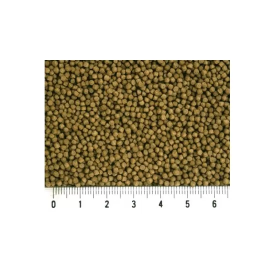 Hikari Goldfish Gold - 2