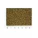 Hikari Goldfish Gold - 2