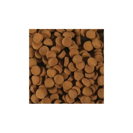 Hikari Massivore Delite 380gr - 3