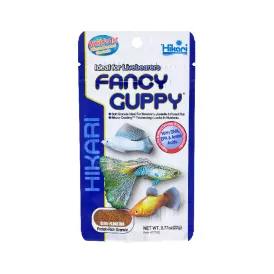 Hikari Fancy Guppy