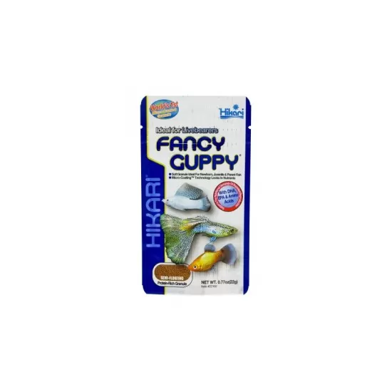 Hikari Fancy Guppy - 1