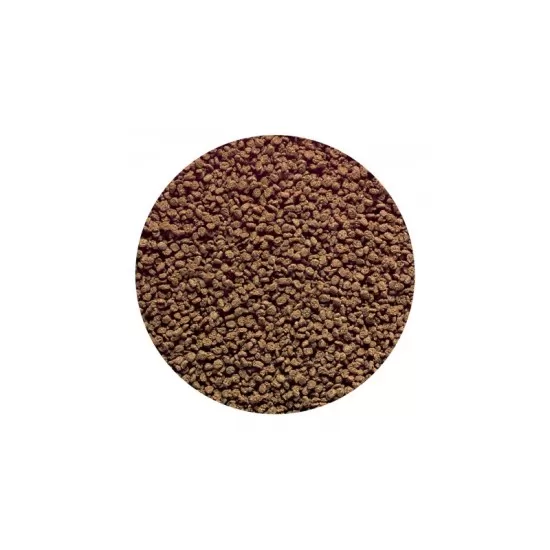 Hikari Discus Bio Gold - 2