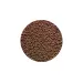 Hikari Discus Bio Gold - 2