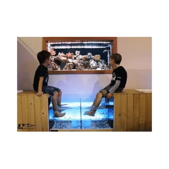 Garra Rufa Аквариум За Крака (двоен) - 1