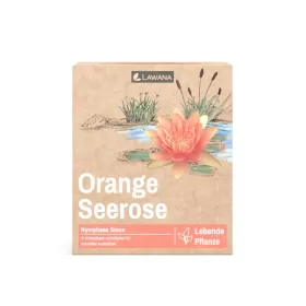 Водна лилия оранжева (Lawana Nymphaea Natura Coco Sioux)